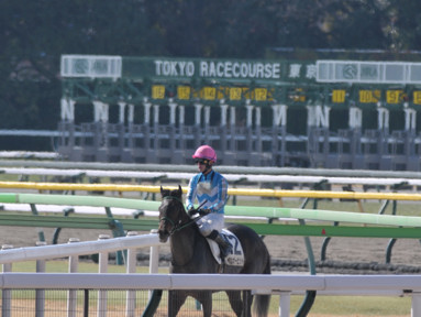 2024/02/10 東京04R