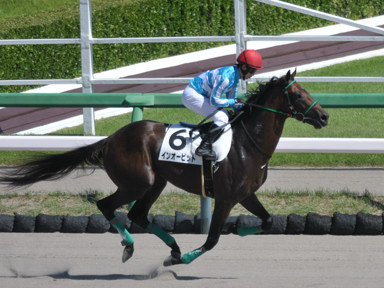 2024/09/15 中山06R