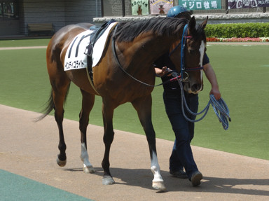 2009/05/02 東京07R