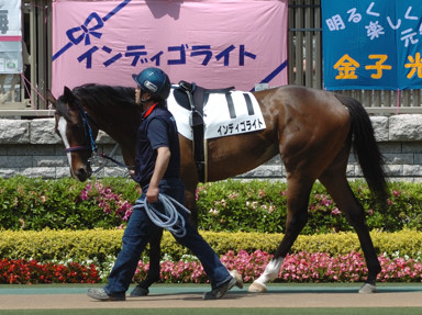 2009/05/02 東京07R
