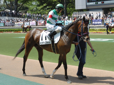 2009/05/02 東京07R
