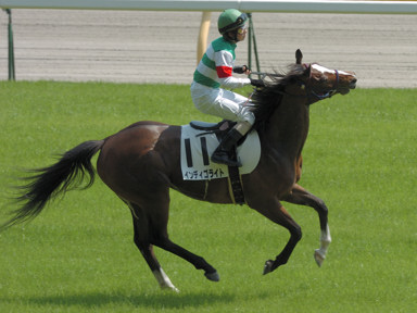 2009/05/02 東京07R