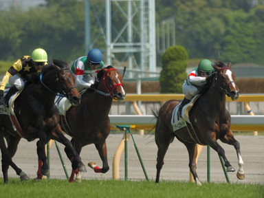 2009/05/02 東京07R