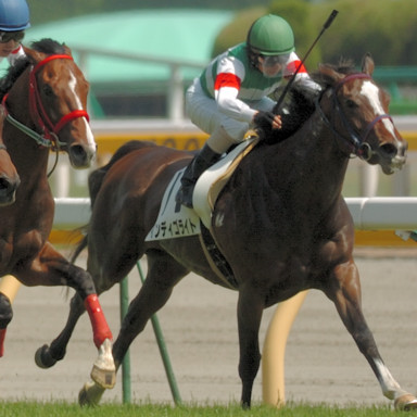 2009/05/02 東京07R