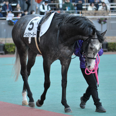 2025/11/13 中京08R