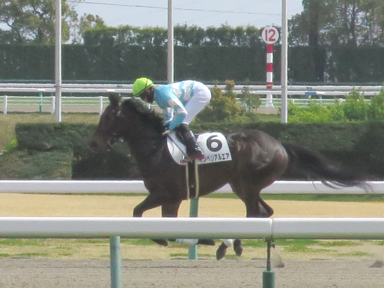 2021/03/27 中京08R