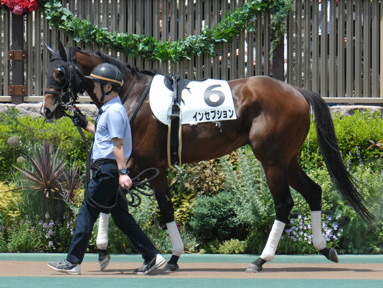 2024/05/26 東京07R
