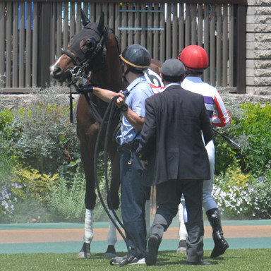 2024/05/26 東京07R