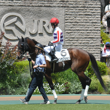 2024/05/26 東京07R