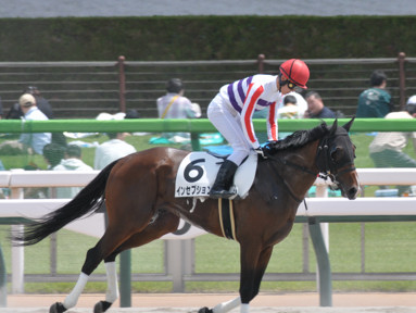 2024/05/26 東京07R