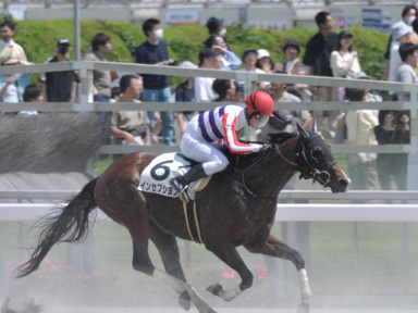 2024/05/26 東京07R