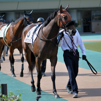 2022/10/23 東京07R
