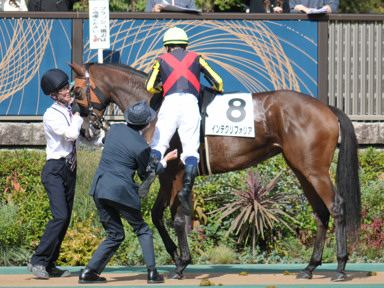 2022/10/23 東京07R