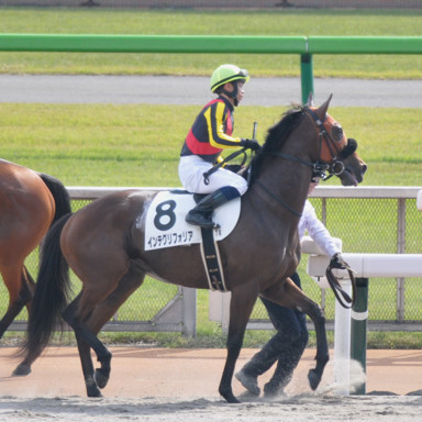2022/10/23 東京07R