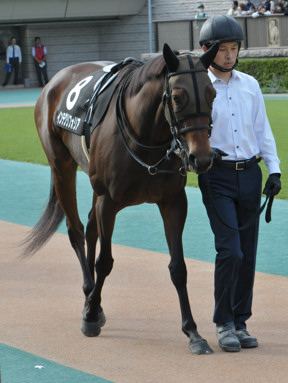 2023/10/14 新潟10R