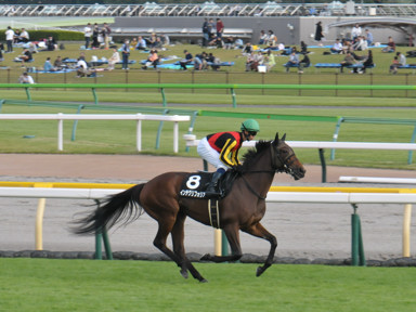 2023/10/14 新潟10R