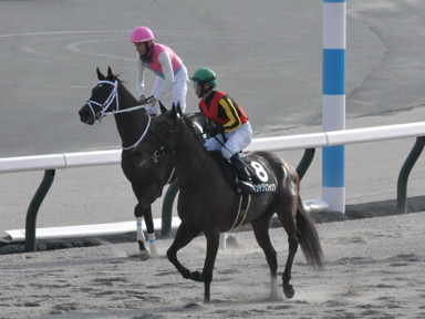 2023/10/14 新潟10R