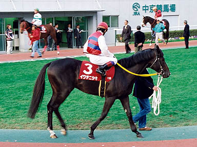 1998/12/06 中京11R