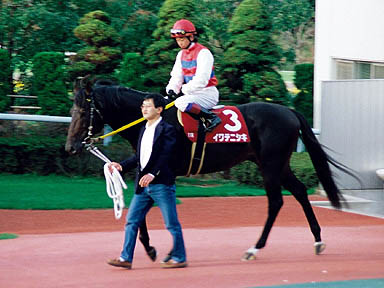 1998/12/06 中京11R