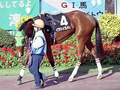 2001/11/25 東京08R