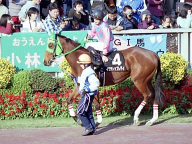 2001/11/25 東京08R