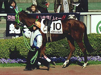 2002/02/02 東京05R