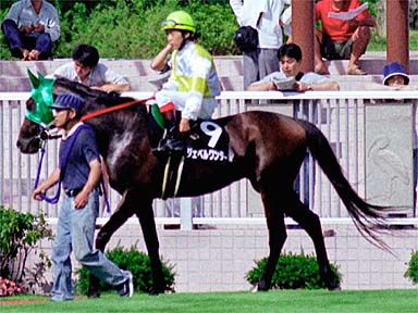 2001/07/21 新潟11R