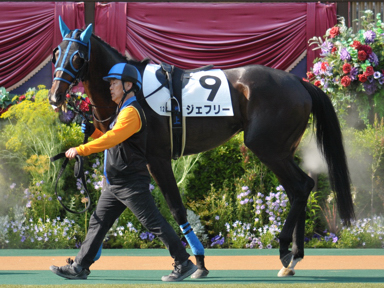 2022/05/28 東京12R