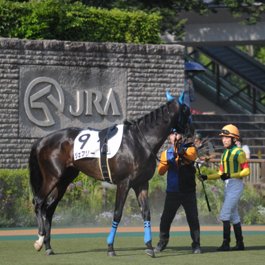 2022/05/28 東京12R