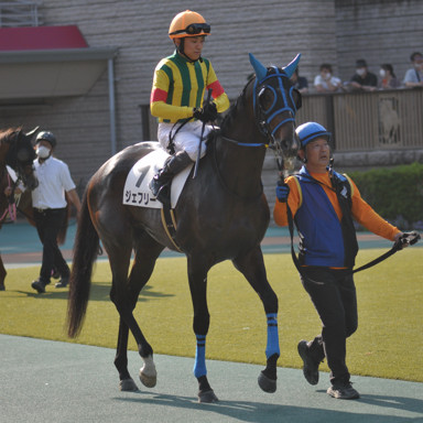 2022/05/28 東京12R