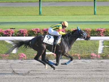 2022/05/28 東京12R