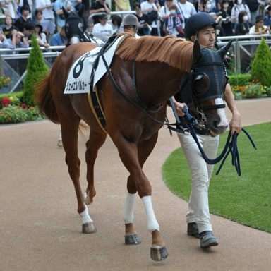 2024/09/22 中山08R