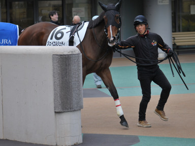 2025/02/22 東京07R