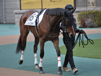 2025/02/22 東京07R