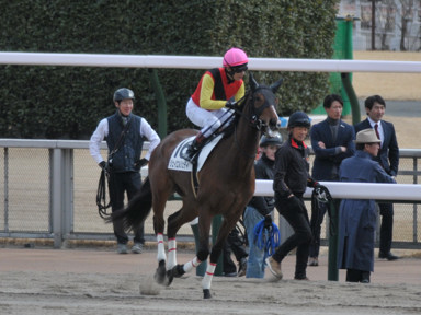 2025/02/22 東京07R