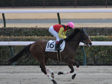 2025/02/22 東京07R
