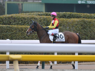 2025/02/22 東京07R