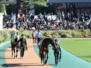 2025/11/30 ����07R