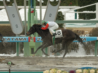 2006/01/22 中山07R