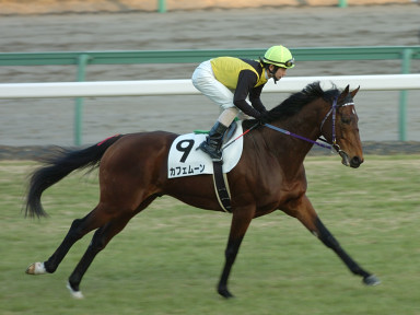 2005/01/08 R12R
