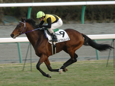 2005/01/08 R12R