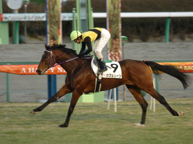 2005/01/08 R12R