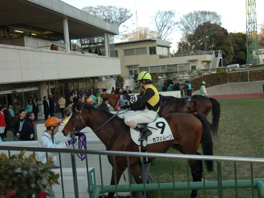 2005/01/08 R12R