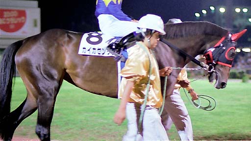 2001/10/06 大井11R