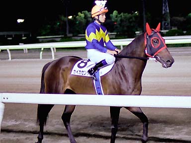 2001/10/06 大井11R