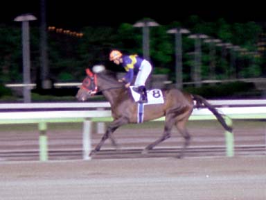 2001/10/06 大井11R