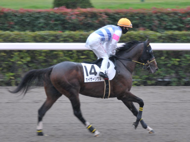 2021/10/17 東京06R