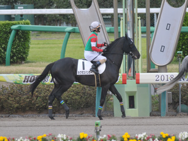2018/04/07 中山08R