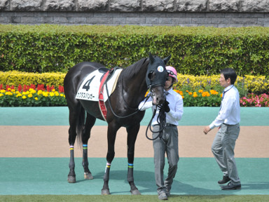 2018/05/12 東京08R