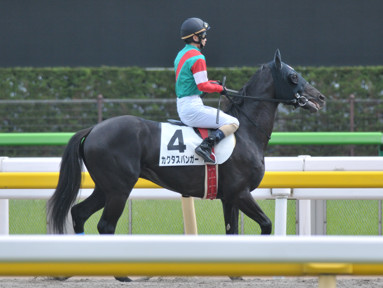2018/05/12 東京08R